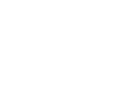 Irish Animation