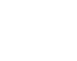 Electric Video Client logo